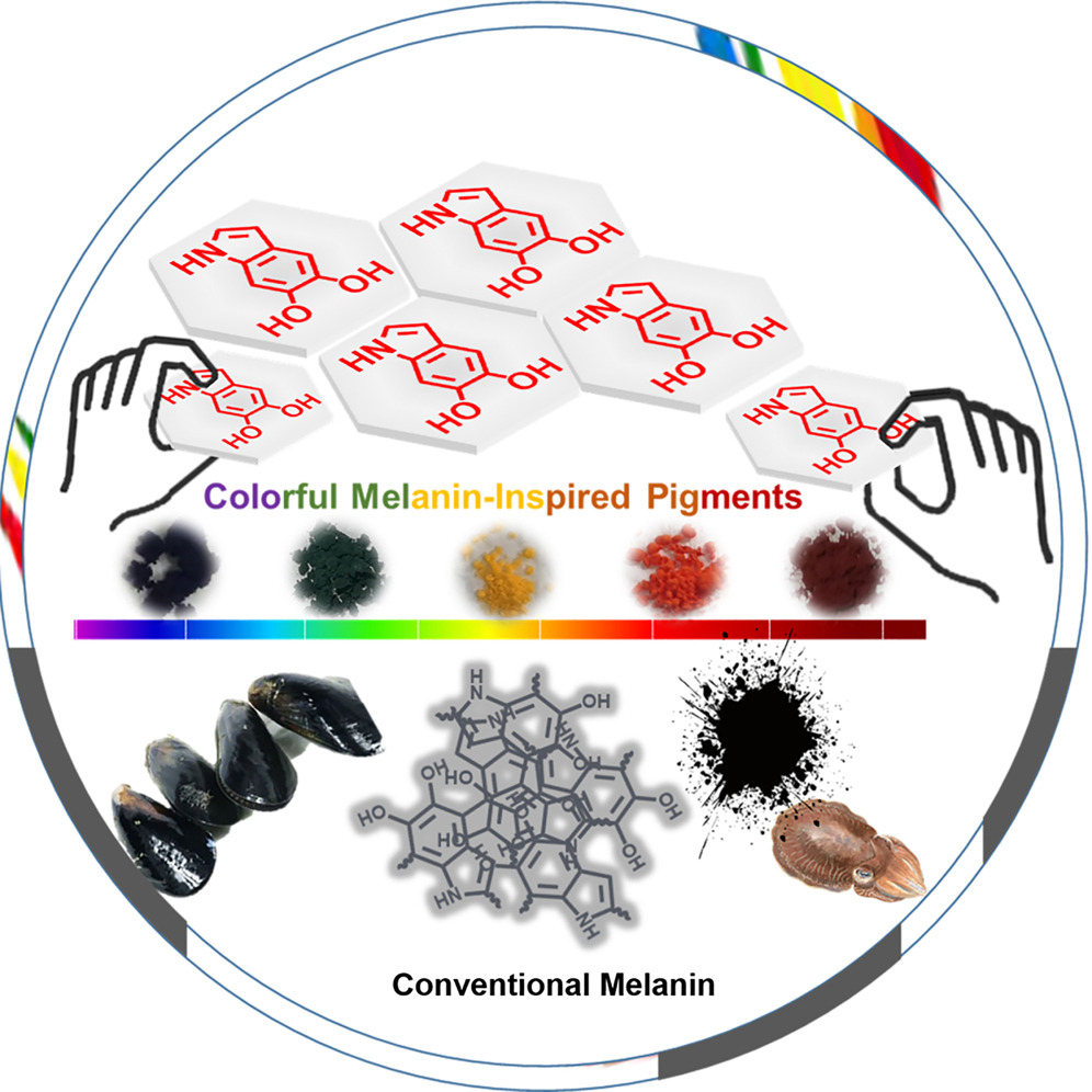 打破自然桎梏！川大团队让黑色素绽放斑斓色彩！